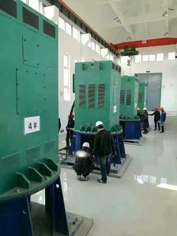 荔城某污水处理厂使用我厂的立式高压电机安装现场
